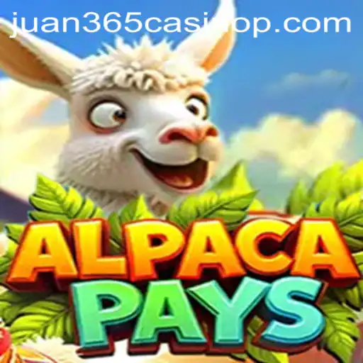Discover the Excitement of AlpacaPays at Juan 365 Casino