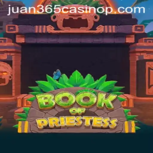 Exploring the Mystical World of BookOfPriestess in Juan 365 Casino