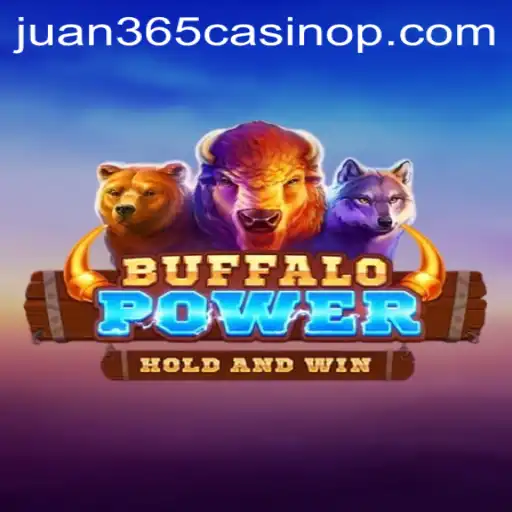 Discover the Thrills of BuffaloPower at Juan 365 Casino