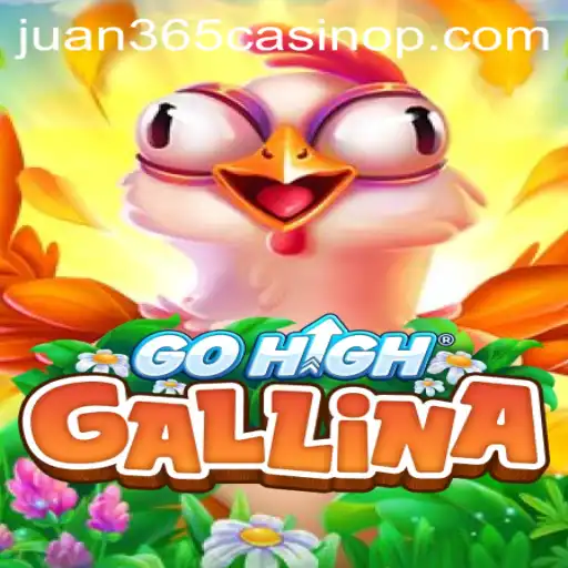 Unveiling GoHighGallina: An Exciting New Game in Juan 365 Casino