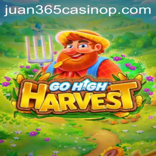 Discovering GoHighHarvest: A Thrilling Journey into the World of Juan 365 Casino