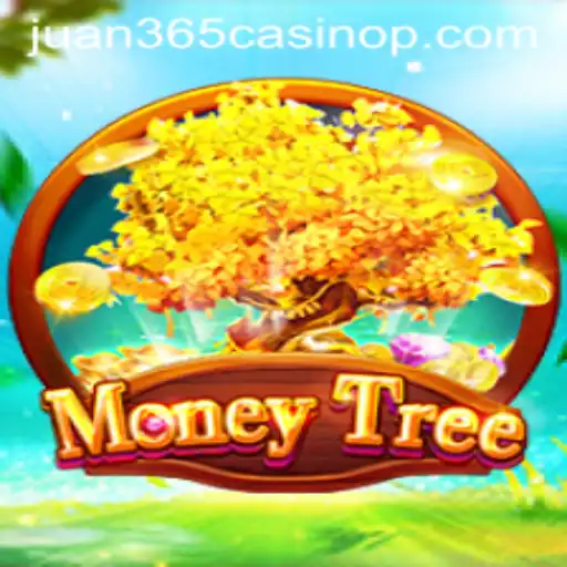 Exploring MoneyTree at Juan 365 Casino