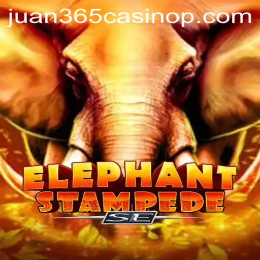 Discover the Adventure of ElephantStampedeSE at Juan 365 Casino