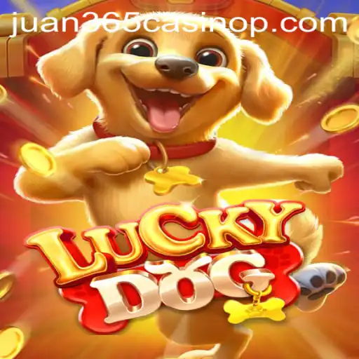 Discovering LuckyDog: A Thrilling Addition to Juan 365 Casino