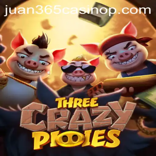 Discover the Thrills of ThreeCrazyPiggies at Juan 365 Casino