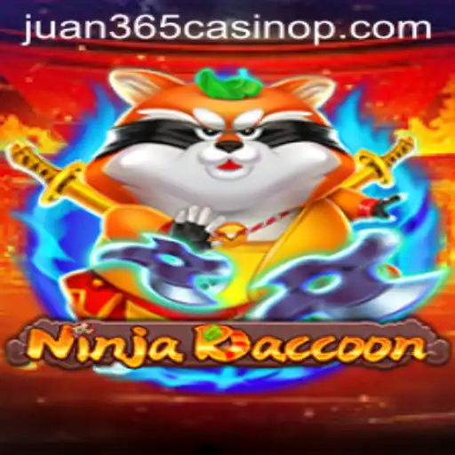 Embark on an Adventure with NinjaRaccoon: Transforming the Digital Gaming Landscape